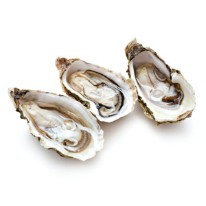 Oysters Image